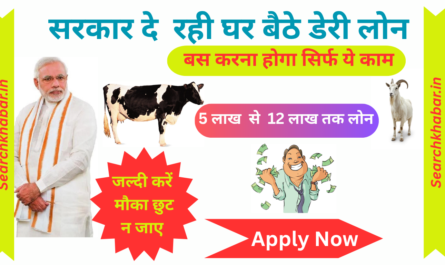 Dairy Farming Business Loan
